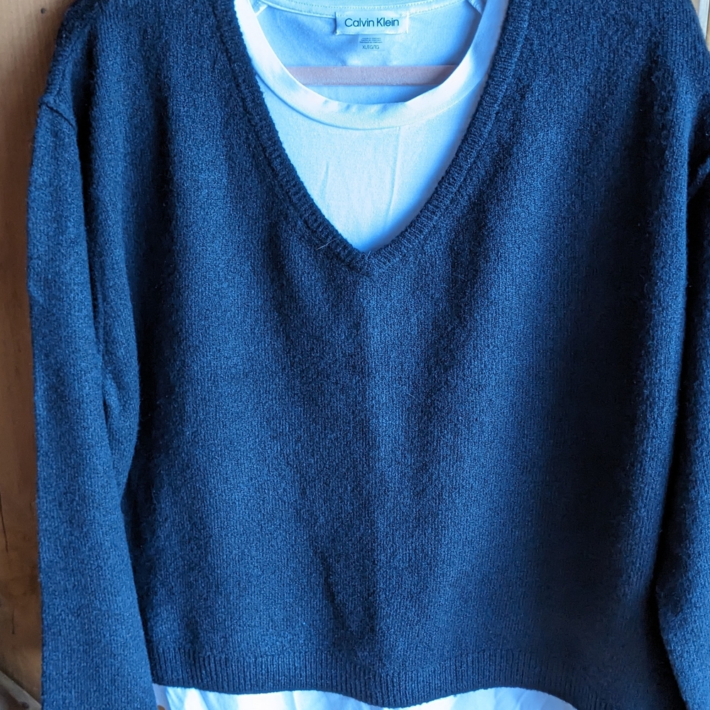 American Eagle Outfitters Women's Solid Black Knit V-Neck, L/S, Ribbed Hem (L)